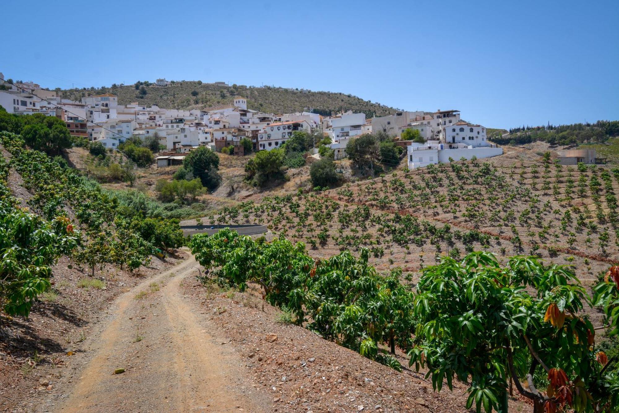 Villa Portillo Iznate Dış mekan fotoğraf